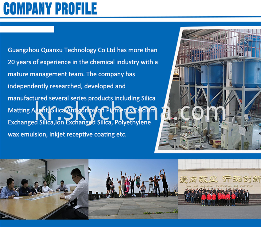 Company Profile